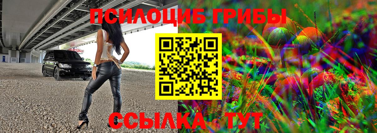 Мценск  Псилоцибиновые грибы Cubensis  хочу наркоту  Вход с VPN 